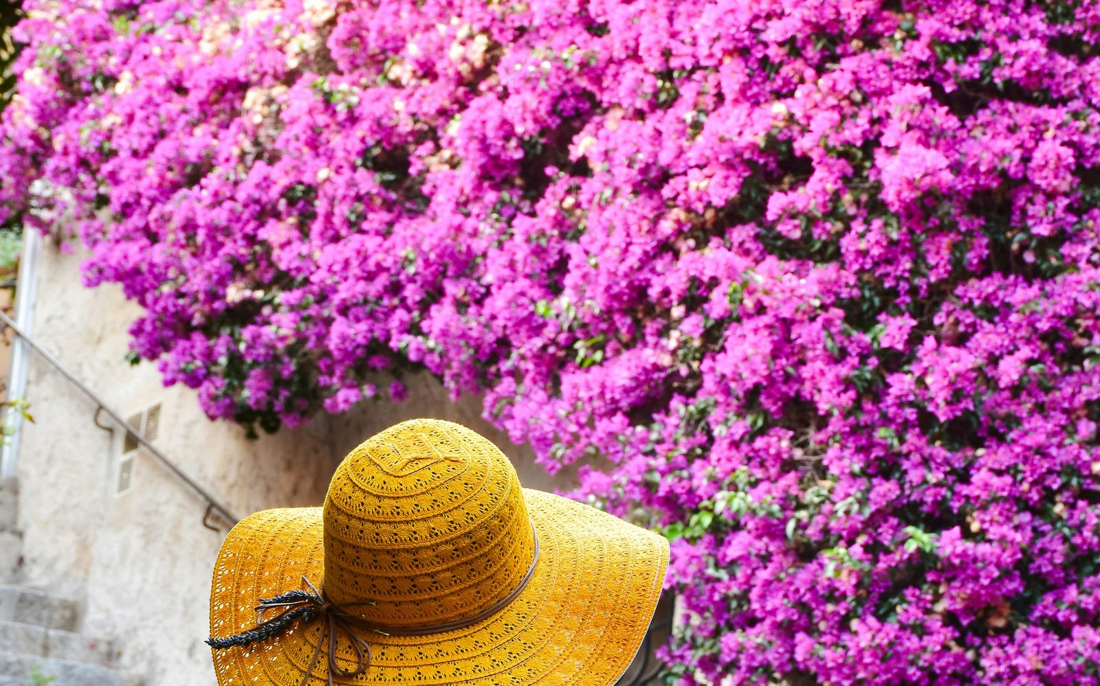 Bougainvillea staircase; Côte d'Azur lifestyle, Omage Mortgages